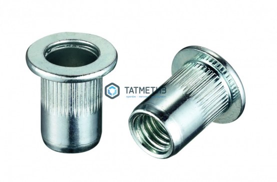 Заклепка резьбовая цилиндрический борт М 6 с насечкой |  «ТАТМЕТИЗ» Заклепка резьбовая цилиндрический борт М 6 с насечкой -  магазин крепежа «ТАТМЕТИЗ»