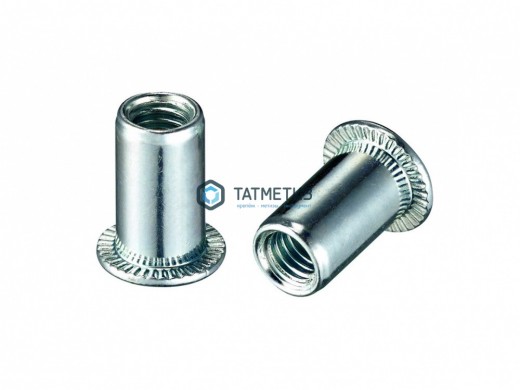 Заклепка резьбовая цилиндрический борт М 6  (1000 шт/уп) КL |  «ТАТМЕТИЗ» Заклепка резьбовая цилиндрический борт М 6  (1000 шт/уп) КL -  магазин крепежа «ТАТМЕТИЗ»