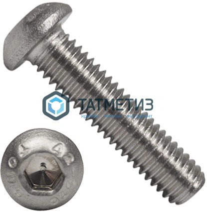 Винт ISO 7380 А4 M 4х25 Винт ISO 7380 А4 M 4х25